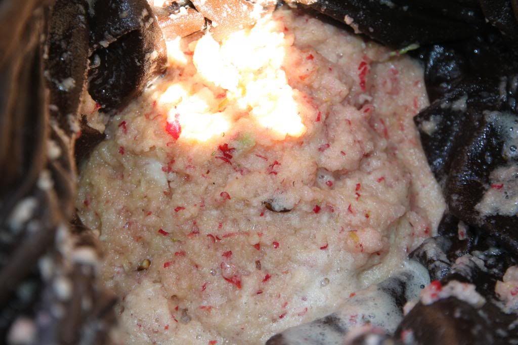 Sept. 4, 2012 photo IMG_6926_zps228bc1e8.jpg